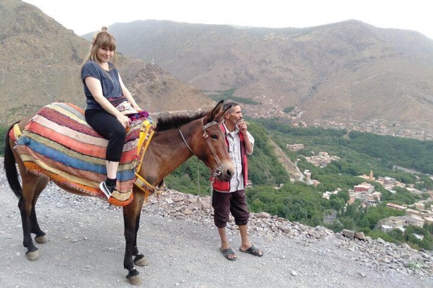 Luxury private day trip - Atlas Mountains, Agafay Desert & camels