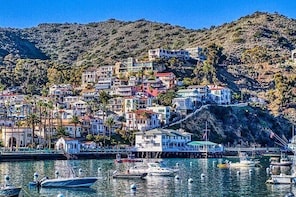 Catalina Island Avalon Scenic Tour