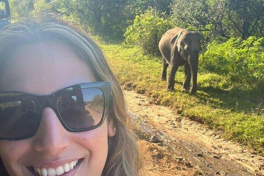 Safari in Yala 