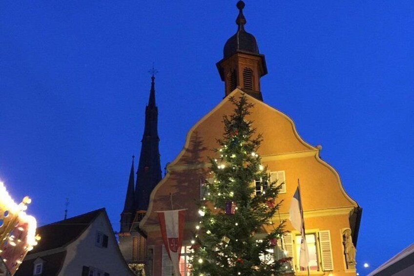 Wine tour to Heidelberg Castle & Charming old city & wine regions of Frankfurt