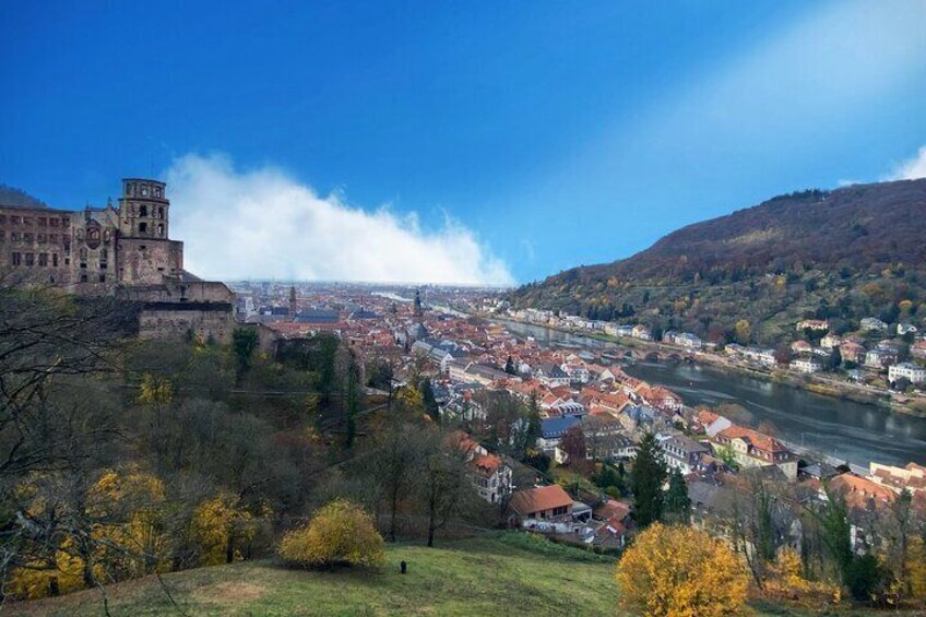 Heidelberg City tour available by request