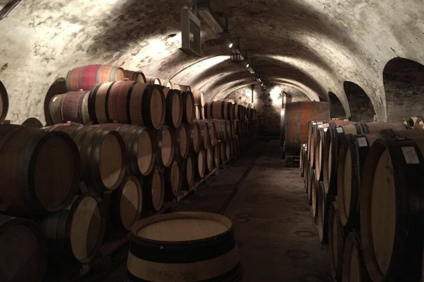 Take a tour into a wine cellar 