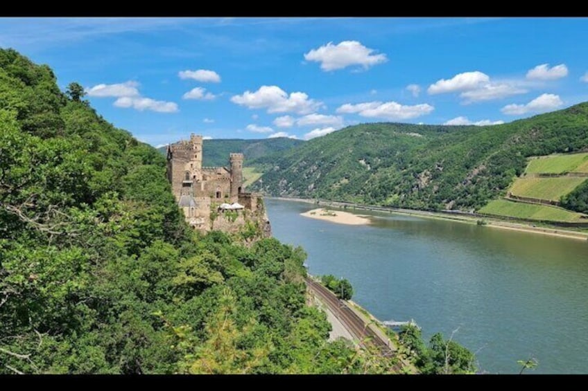 Visit a charming schloss & taste wine along the romantic Rhein 