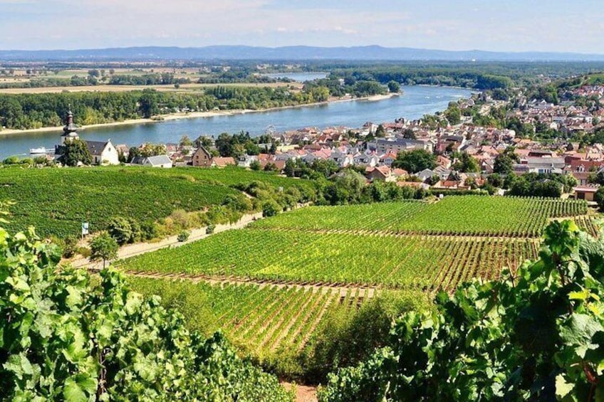 Personal wine tours in the heart of Germany from Frankfurt region - Mainz
