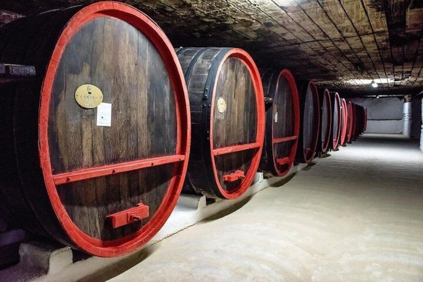 Cricova cellar