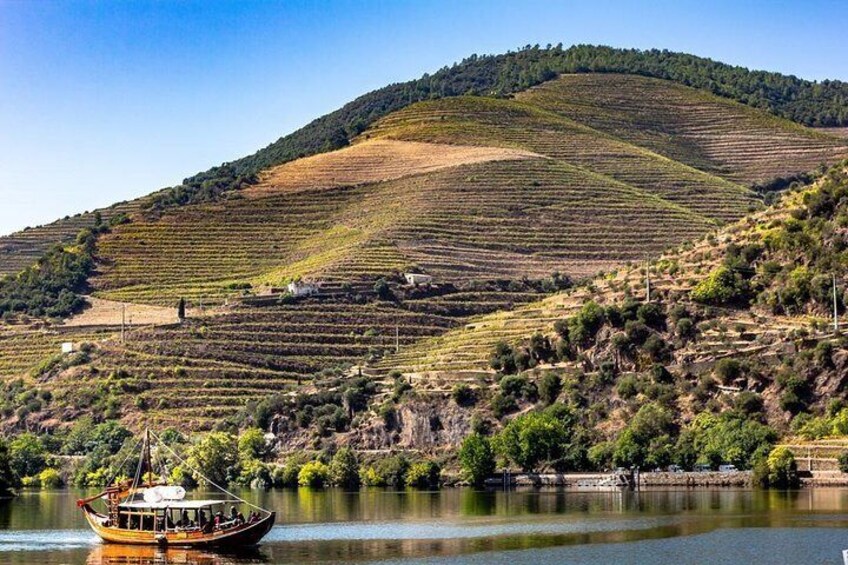 Douro Valley Full Day Tour with Lunch and Wine Tastings