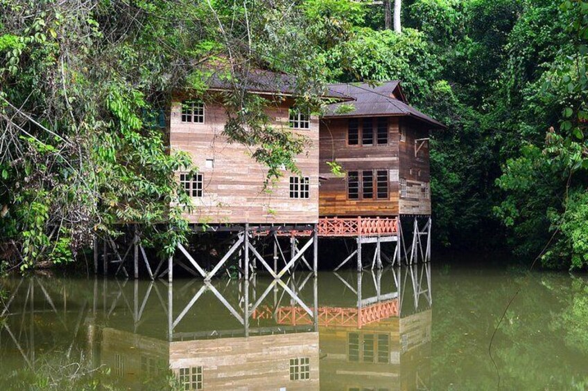 Borneo Tropical Rainforest Tour