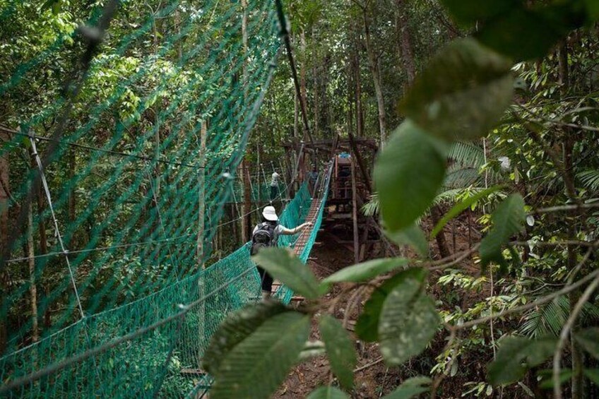 Borneo Tropical Rainforest Tour