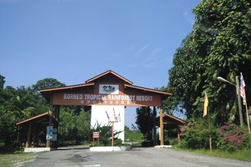 Borneo Tropical Rainforest Tour