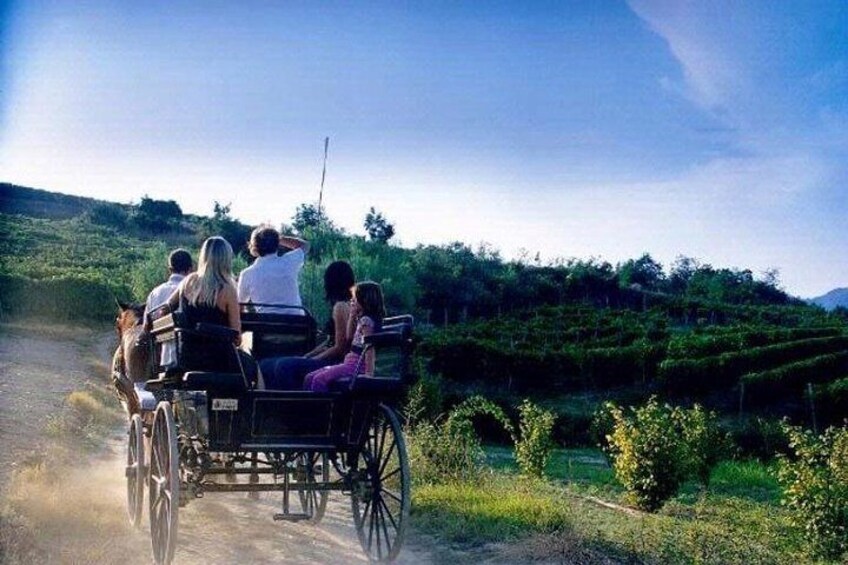 Day Trip: Vinyard Tour By Horse & Carriage+ Lunch + Montefalco And Todi Pr.tour