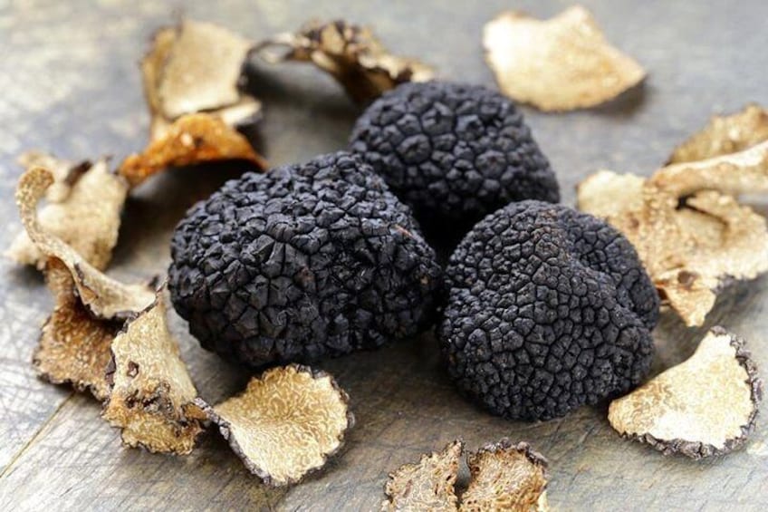 Day Trip: Truffle Hunting With Lunch + Oil Mill Visit With Tasting 