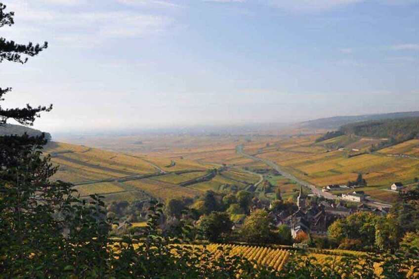 Small-Group Full-Day Tour of Côte de Nuits, Côte de Beaune Vineyards and Beaune Historical District