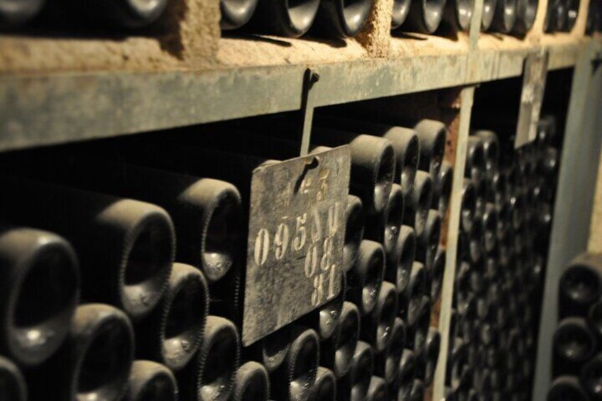 Wine cellar in Aloxe-Corton