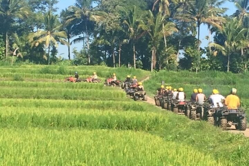 Bali ATV Include Transport & Bufet Lunch