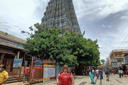 Golden Triangle & South India Temples