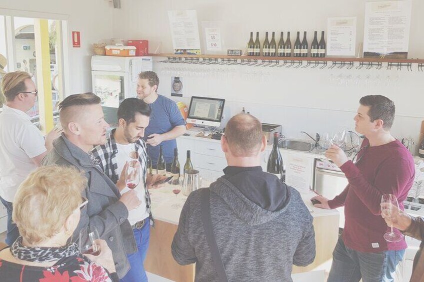 Private Tailored Yarra Valley Wine Tour or Mornington up to 7 people