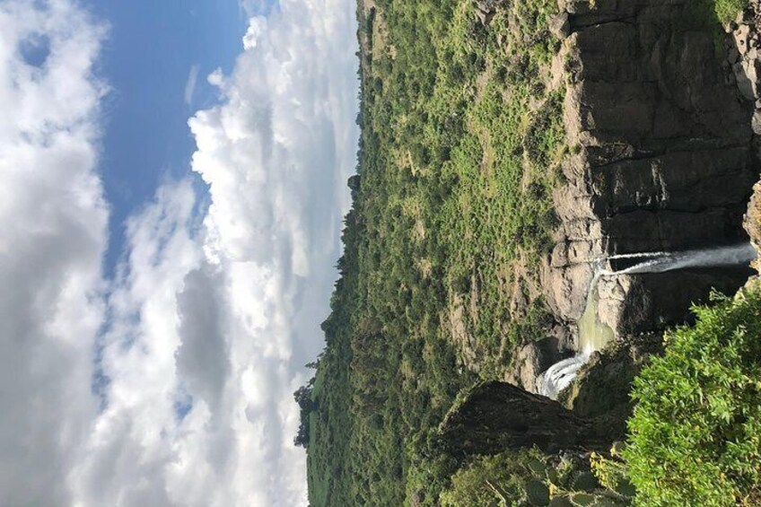 DAY TRIP TO Debre Libanos Monastery Cave Church Nature and Wildlife