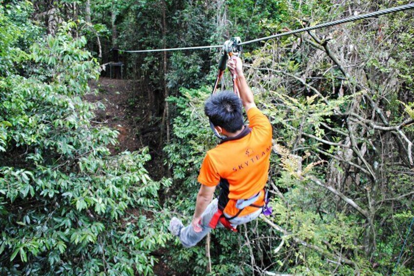 taking on the flying fox