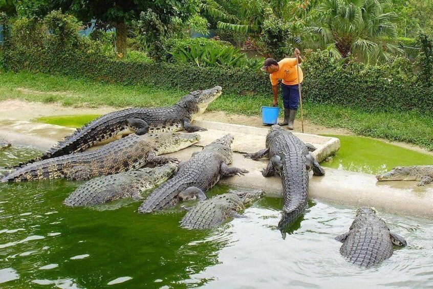 taman buaya