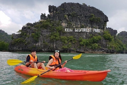 Langkawi Mangrove with Kayaking Experince