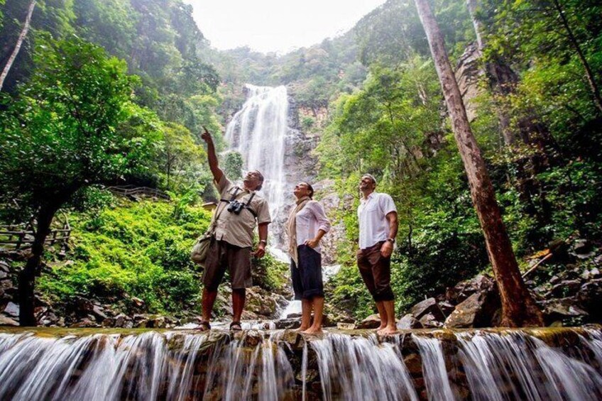 Discover the rainforest of Langkawi