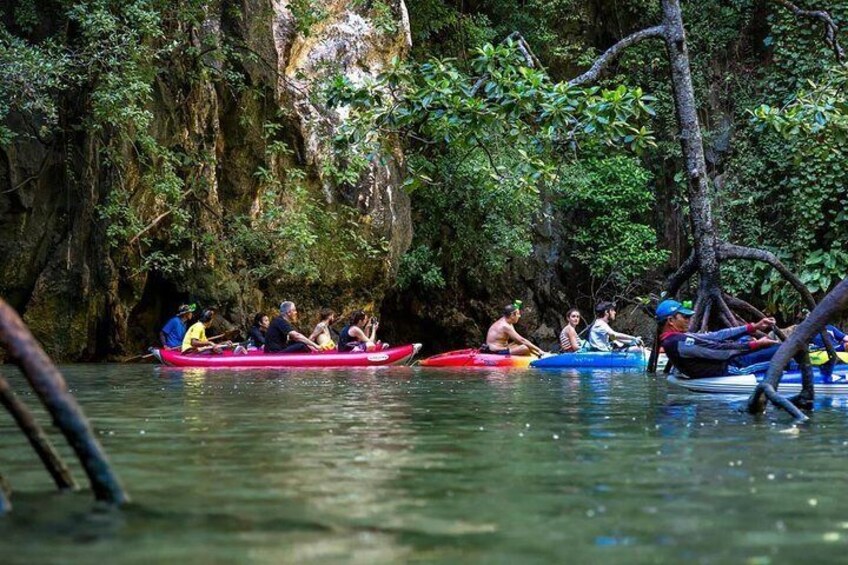 Mangrove Kayaking Adventure in Langkawi (Shared Tour)