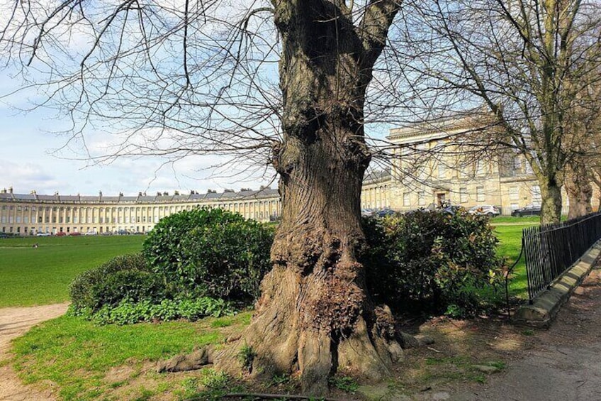 Bath - (Half Day) Walking Tour - Blue Badge guide