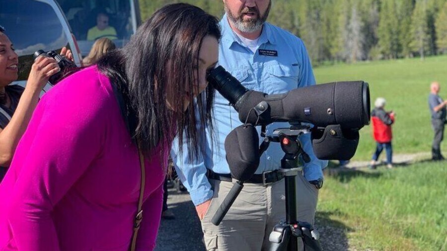 Private Yellowstone Wildlife Sightseeing Tour