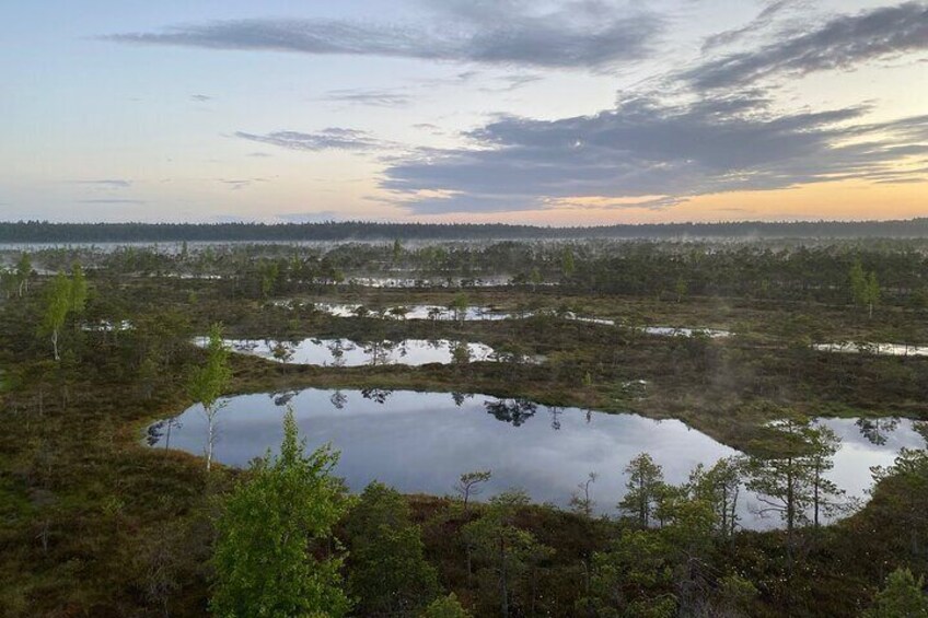 Great Kemeri bog