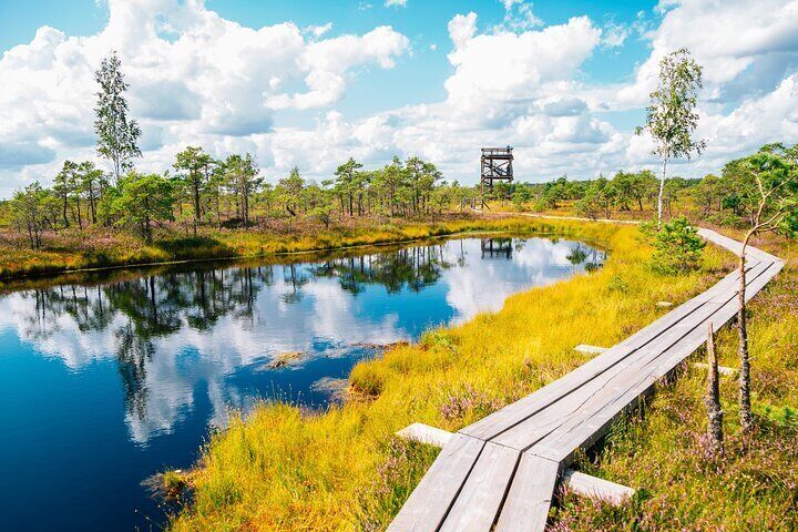 From Riga: Kemeri Bog Boardwalk and Jurmala Seaside