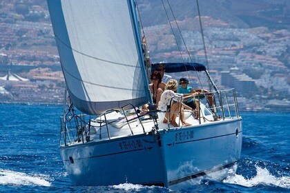 Tenerife 3-Hour Luxury Sailboat Tour with Bath and Food On Board