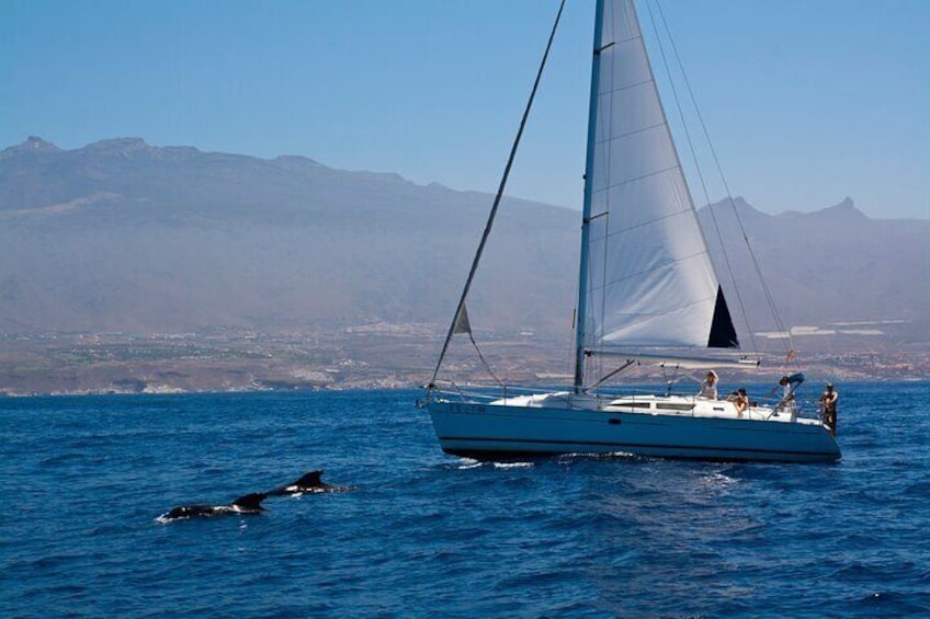 Tenerife 3-Hour Luxury Sailboat Tour with Bath and Food On Board