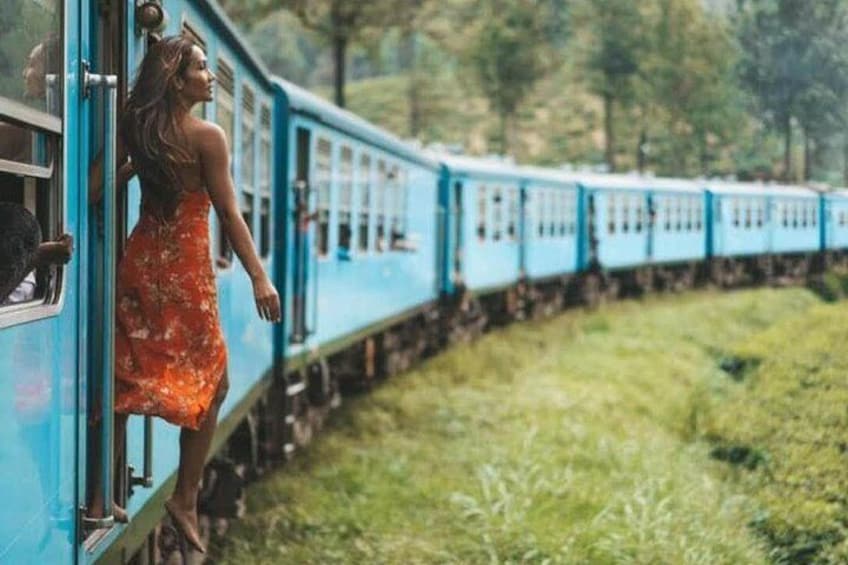 Scenic Train Ride Ella To Horton Plains National Park And Drop Nuwara Eliya
