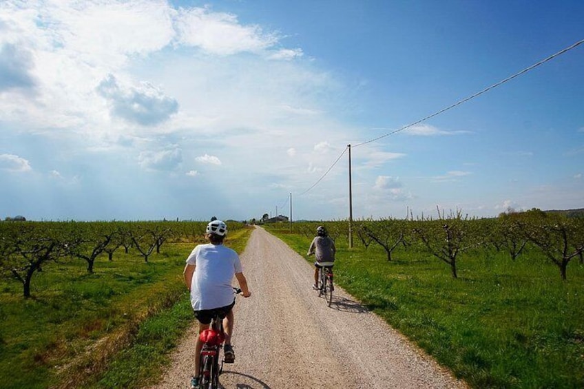 E-bike adventure among medieval castles and old villages