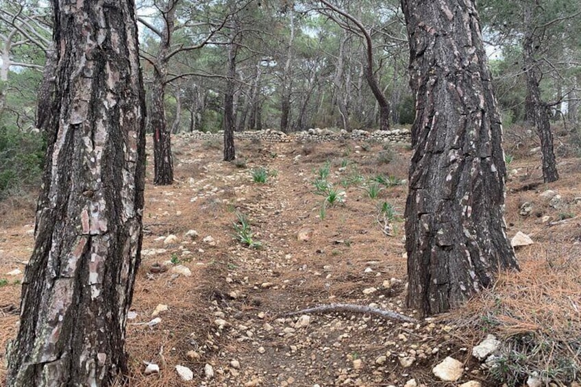 The Agia Kyriaki Walk by Art and Walk