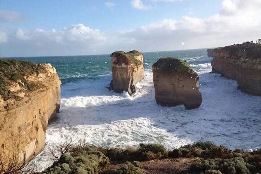 Great Ocean Road 12 Apostles and Australian native animal Tour