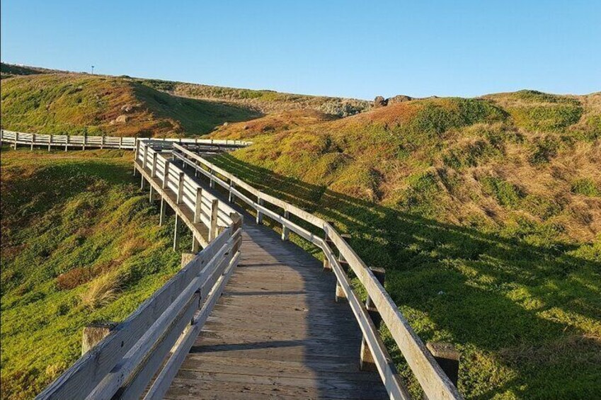 Nobbies walk way amazing views 