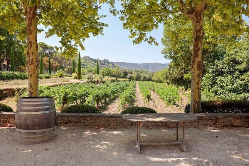 Two intensive days discovering the wine region of Provence, renowned for the excellence of their rosé wines, but also exceptional red & white wines from Cassis on the coast, Mt St Victoire, Cote d'Aix