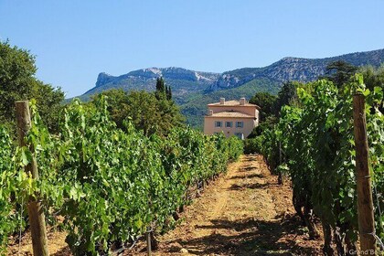 Two intensive days discovering the exceptional wines of Provence