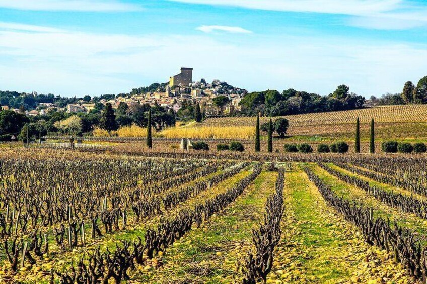 Two intensive days visiting the most famous vineyards of the Châteauneuf-du-Pape & Rhône valley appellation with lunch at two local restaurants with wine paring.