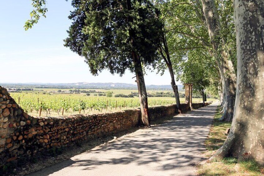 Two intensive days visiting the most famous vineyards of the Châteauneuf-du-Pape & Rhône valley appellation with lunch at two local restaurants with wine paring.