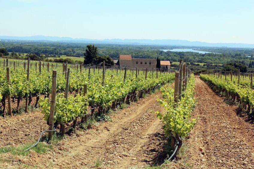 Two intensive days visiting the most famous vineyards of the Châteauneuf-du-Pape & Rhône valley appellation with lunch at two local restaurants with wine paring.