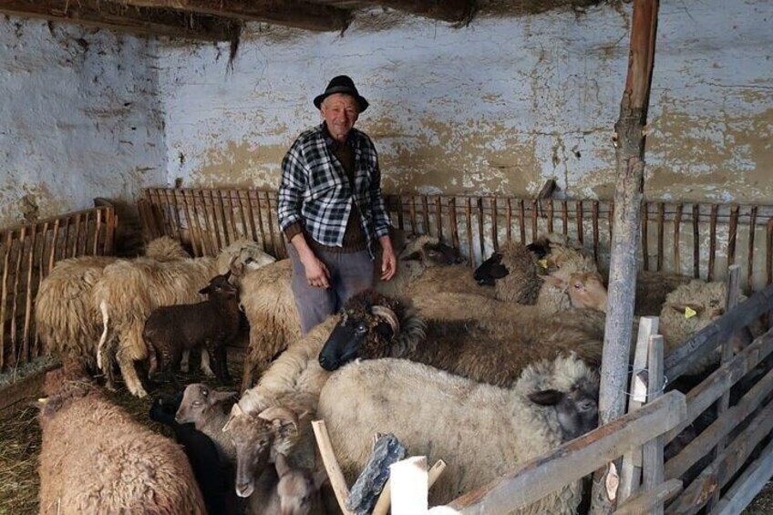 Original Carpathian Village Experience and Sinaia in one day tour
