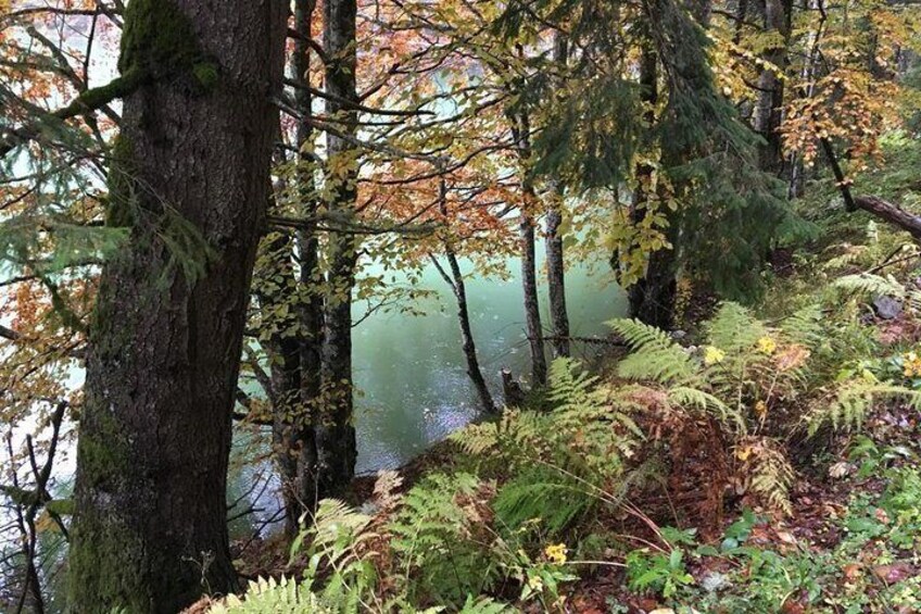 1 Day 4x4 Tour in Carpathian Mountains
