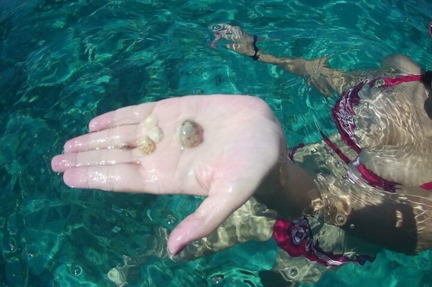 Magical Blue Cave and Hvar Island Hopping Tour