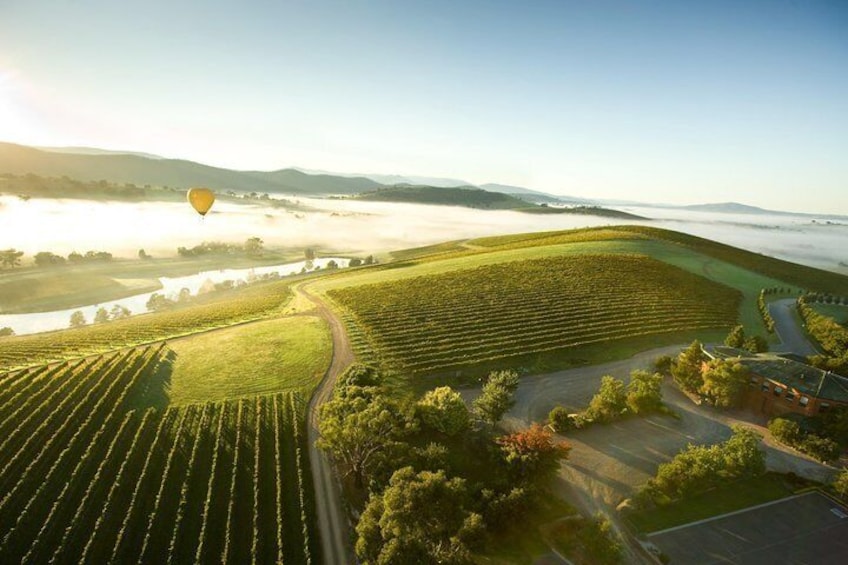 Hot Air Balloon Yarra Valley