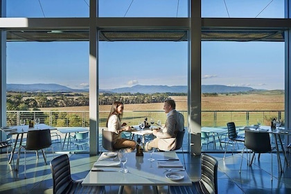 Yarra Valley Wine & Food Day Tour from Melbourne with lunch at Yering Stati...