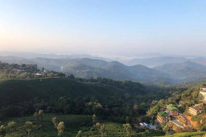 tea valley view