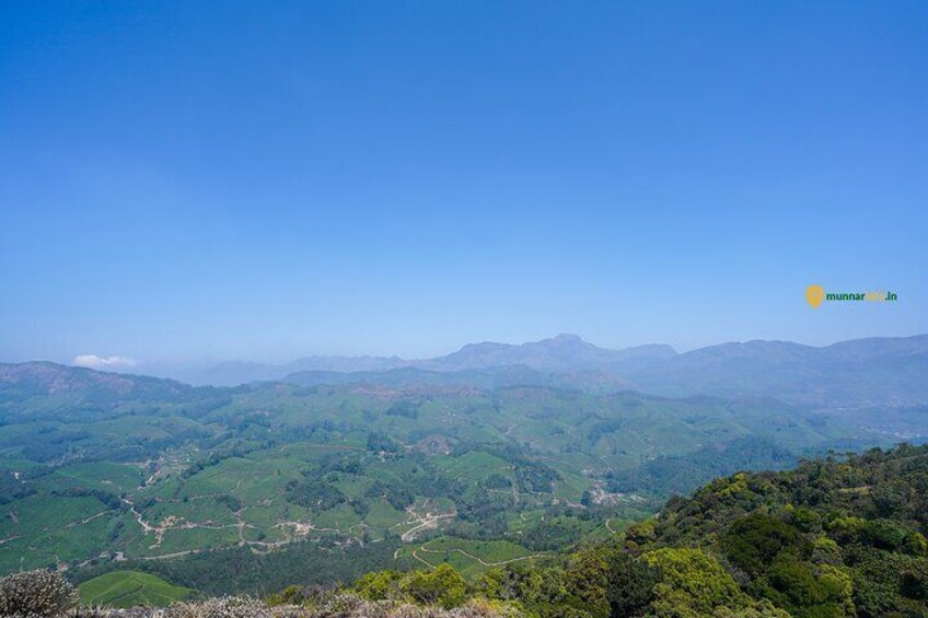Mountain Hiking in Munnar (half day) By Munnar Info