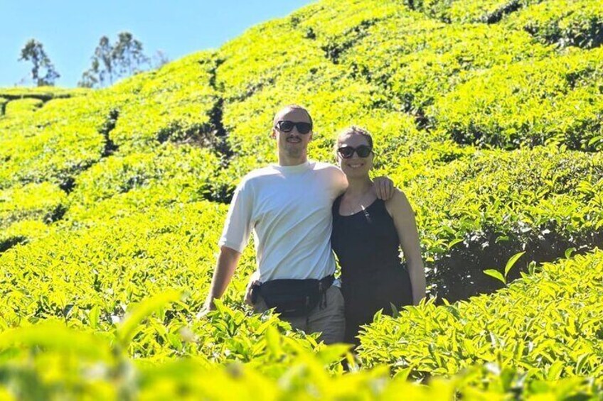 Mountain Hiking in Munnar (half day) By Munnar Info